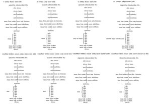 0011 B චිත්ත වීති උදාහරණ 7-14.jpg